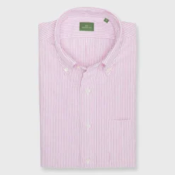 Button-Down Sport Shirt In Berry University Stripe Oxford